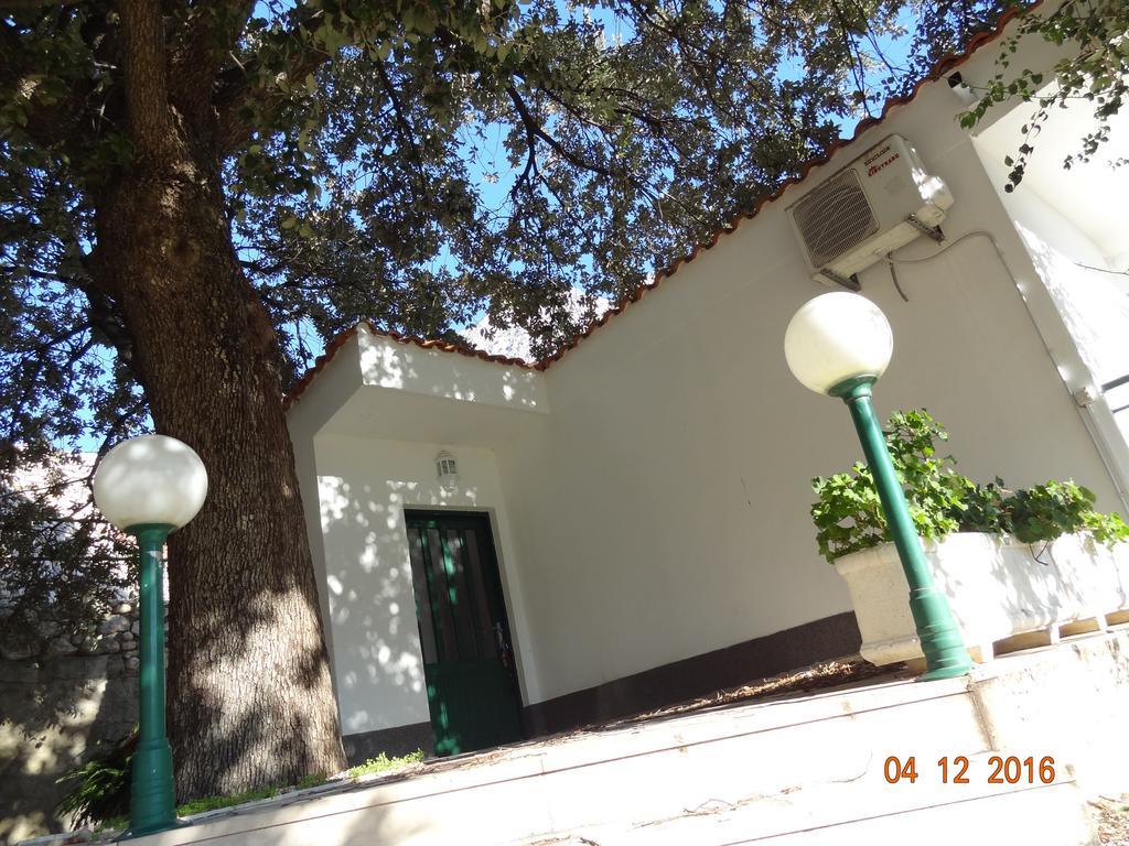 זיווגוסצה Holiday House Zorra מראה חיצוני תמונה