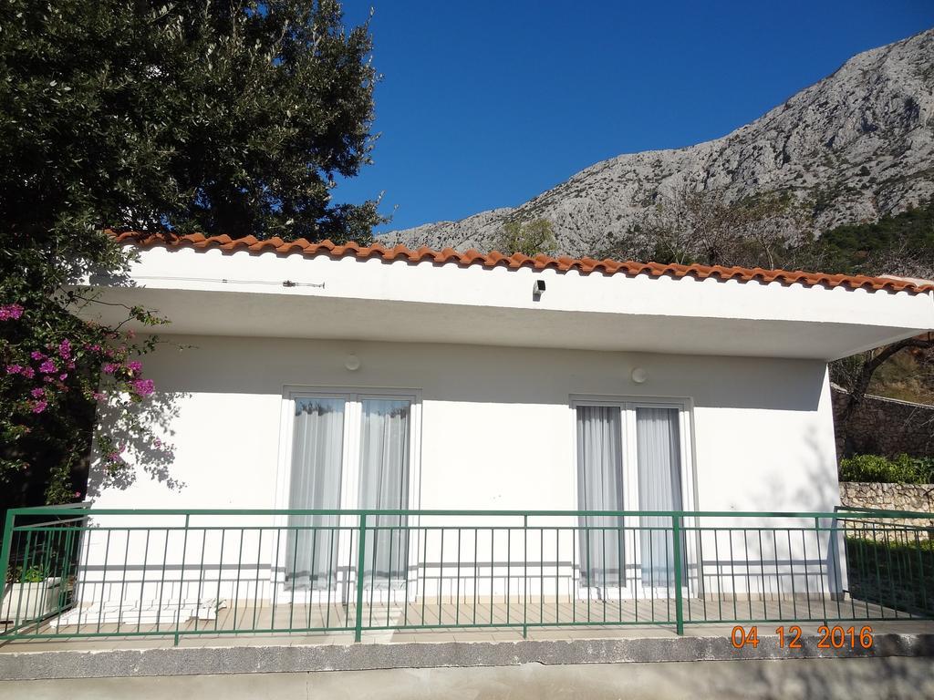 זיווגוסצה Holiday House Zorra מראה חיצוני תמונה