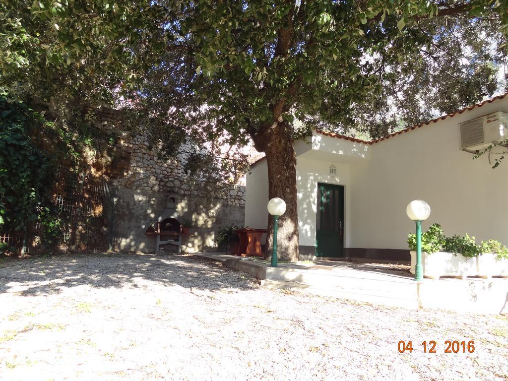 זיווגוסצה Holiday House Zorra מראה חיצוני תמונה