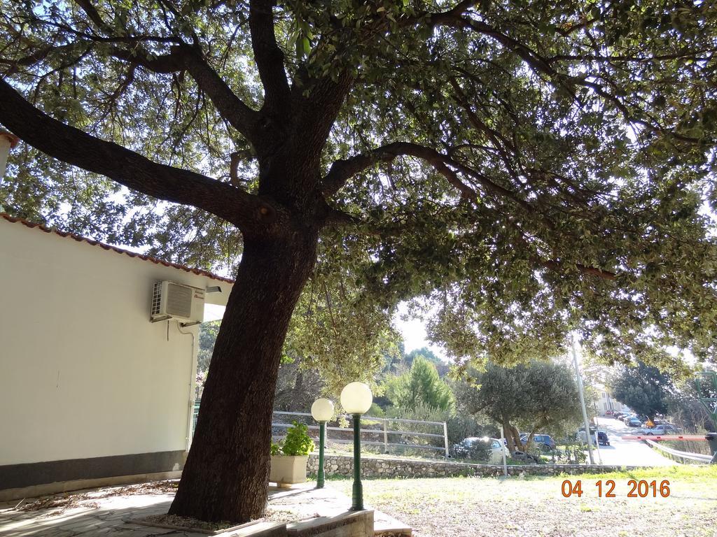 זיווגוסצה Holiday House Zorra מראה חיצוני תמונה