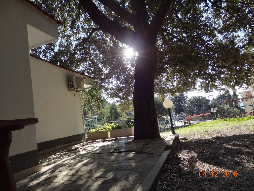 זיווגוסצה Holiday House Zorra מראה חיצוני תמונה