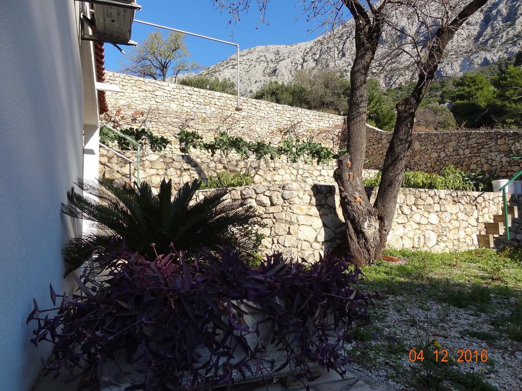 זיווגוסצה Holiday House Zorra מראה חיצוני תמונה
