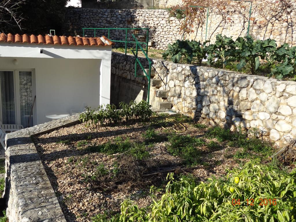 זיווגוסצה Holiday House Zorra מראה חיצוני תמונה