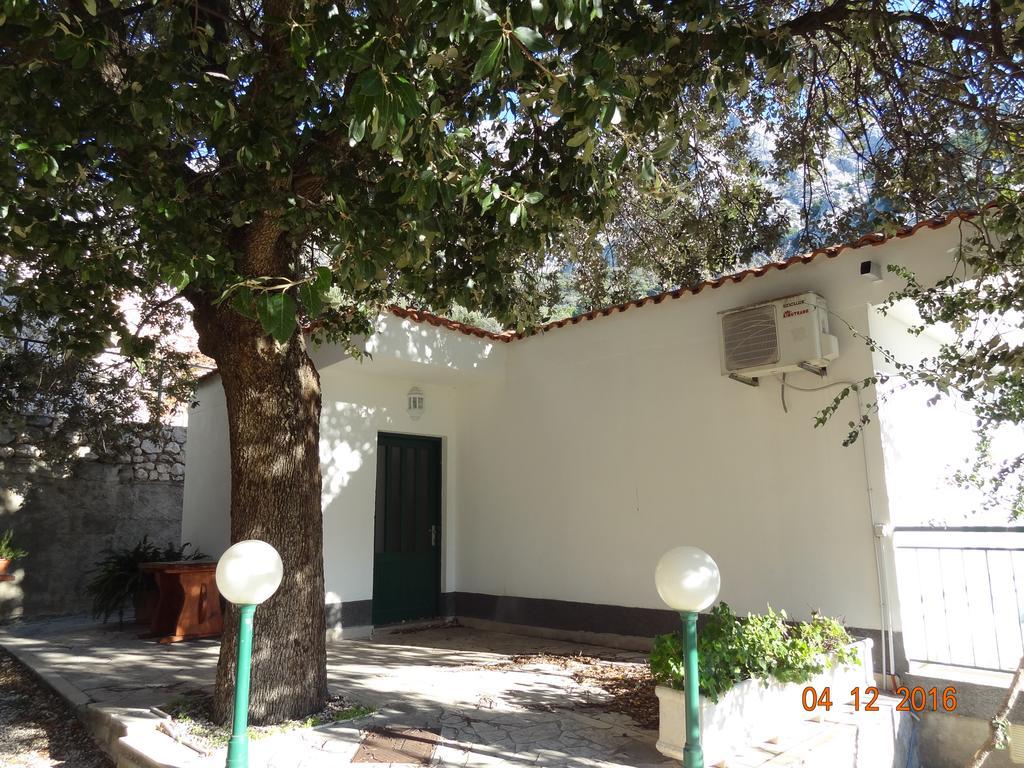 זיווגוסצה Holiday House Zorra מראה חיצוני תמונה