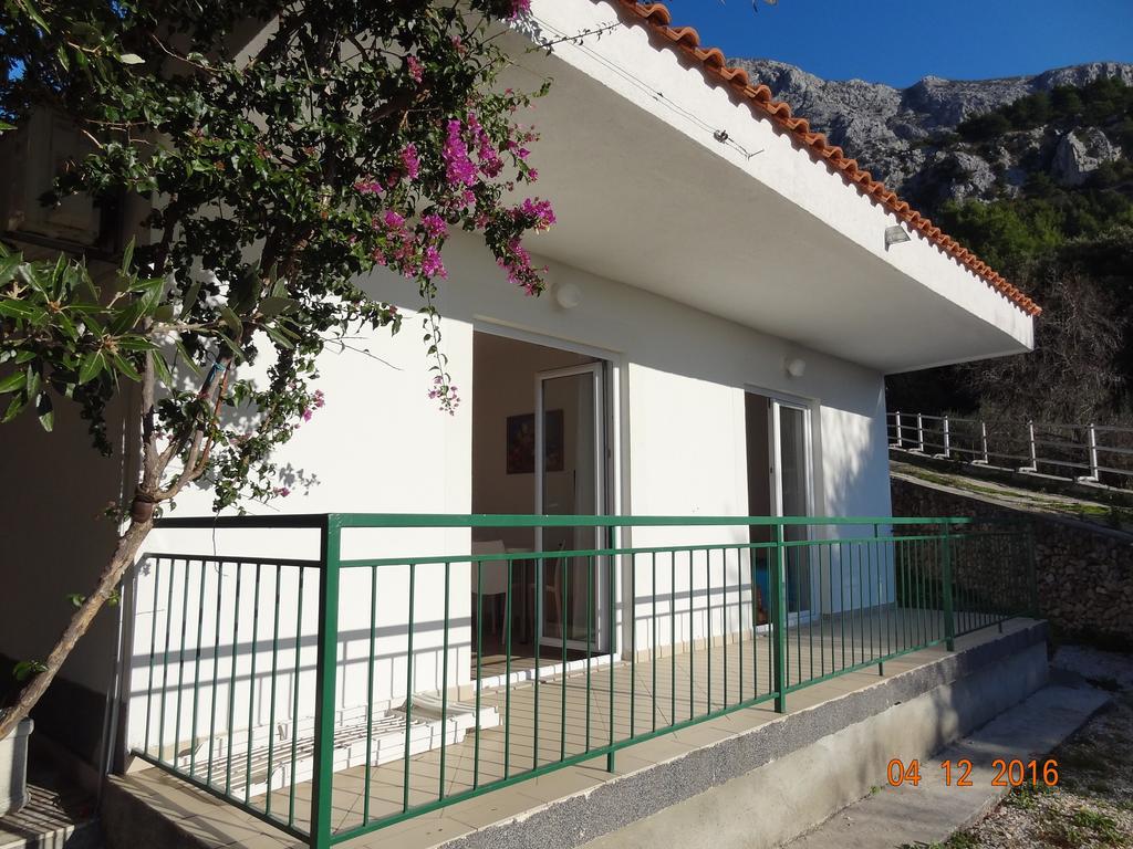 זיווגוסצה Holiday House Zorra מראה חיצוני תמונה