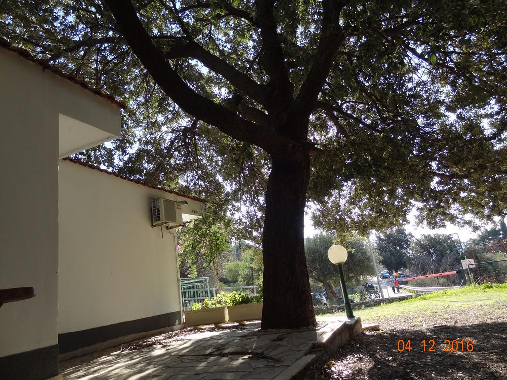 זיווגוסצה Holiday House Zorra מראה חיצוני תמונה