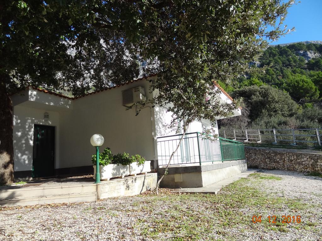 זיווגוסצה Holiday House Zorra מראה חיצוני תמונה