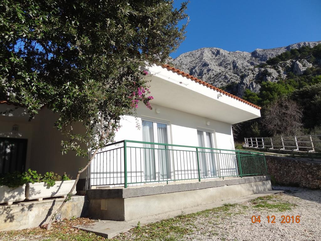 זיווגוסצה Holiday House Zorra מראה חיצוני תמונה