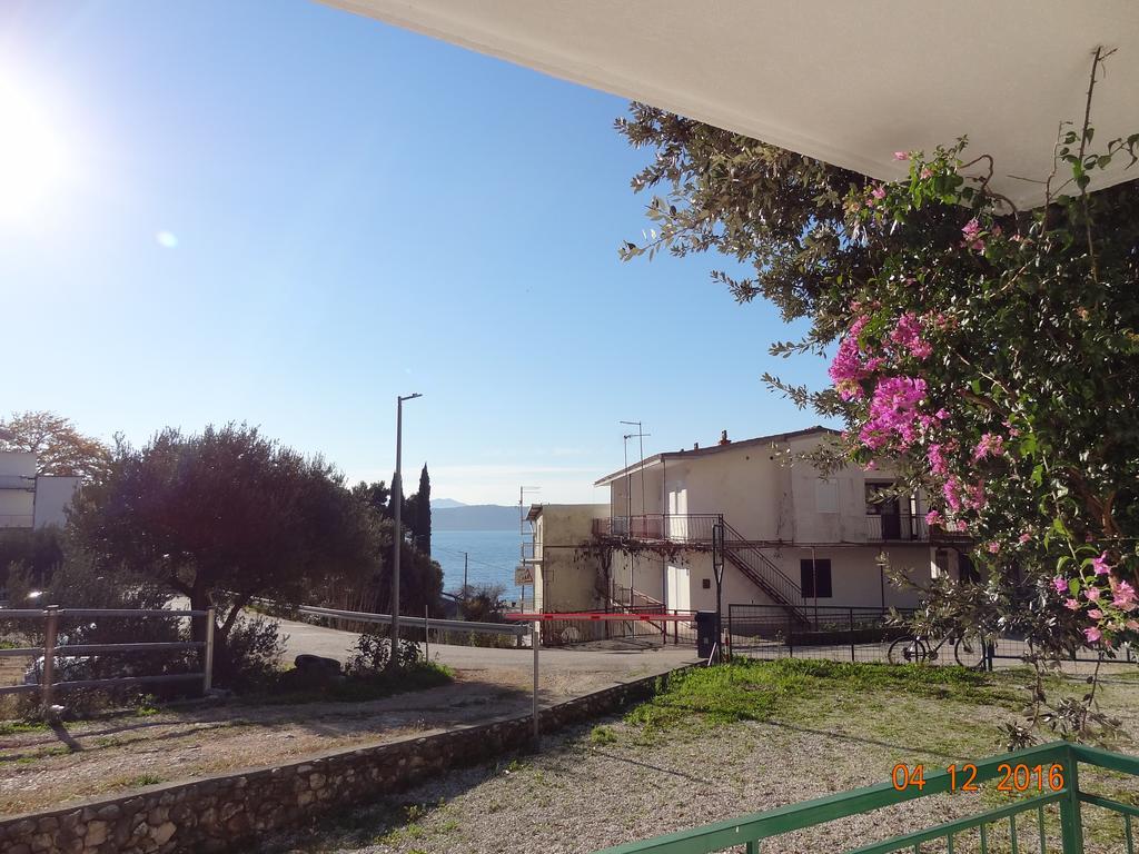 זיווגוסצה Holiday House Zorra מראה חיצוני תמונה