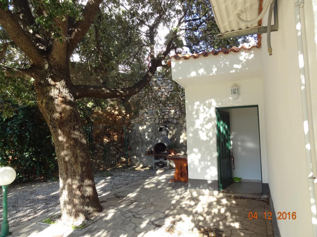 זיווגוסצה Holiday House Zorra מראה חיצוני תמונה