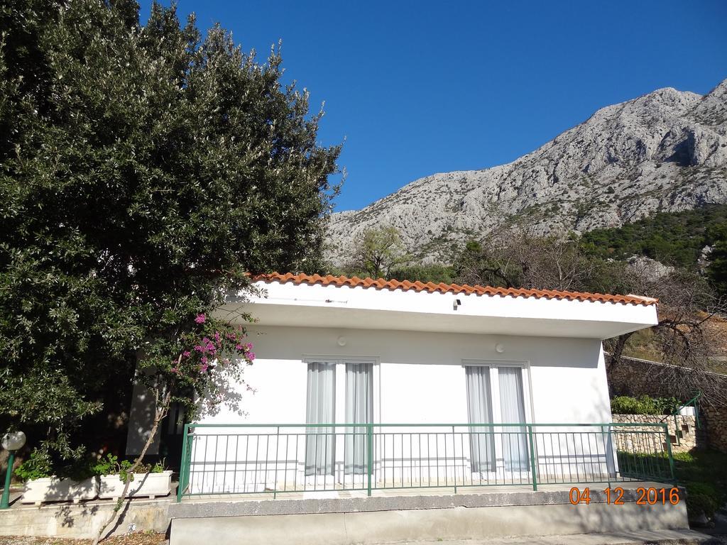 זיווגוסצה Holiday House Zorra מראה חיצוני תמונה