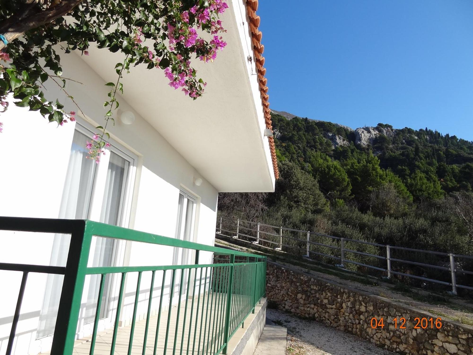 זיווגוסצה Holiday House Zorra מראה חיצוני תמונה