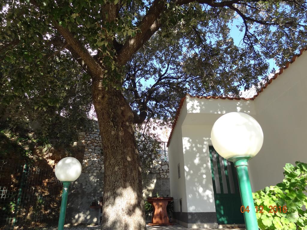 זיווגוסצה Holiday House Zorra מראה חיצוני תמונה
