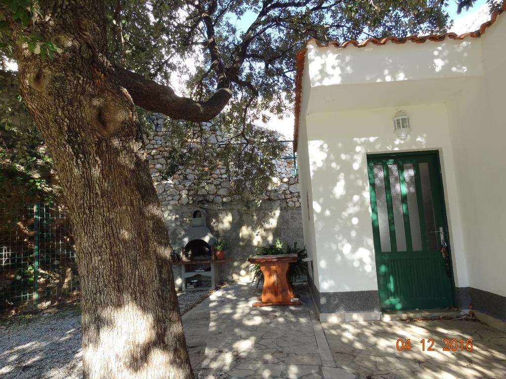 זיווגוסצה Holiday House Zorra מראה חיצוני תמונה