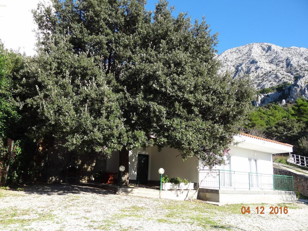 זיווגוסצה Holiday House Zorra מראה חיצוני תמונה