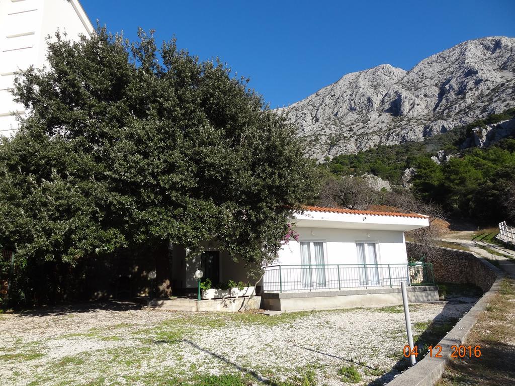 זיווגוסצה Holiday House Zorra מראה חיצוני תמונה